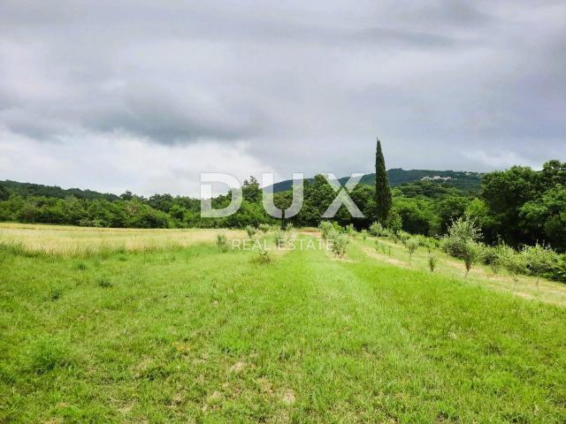 ISTRA, LABIN - Prostrano poljoprivredno zemljište 13 688m2 u blizini mora
