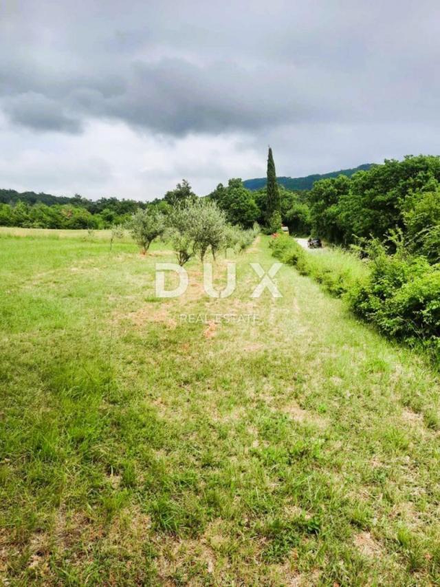 ISTRA, LABIN - Prostrano poljoprivredno zemljište 13 688m2 u blizini mora