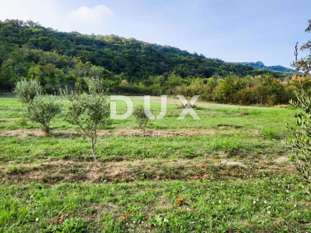 ISTRA, LABIN - Prostrano poljoprivredno zemljište 13 688m2 u blizini mora