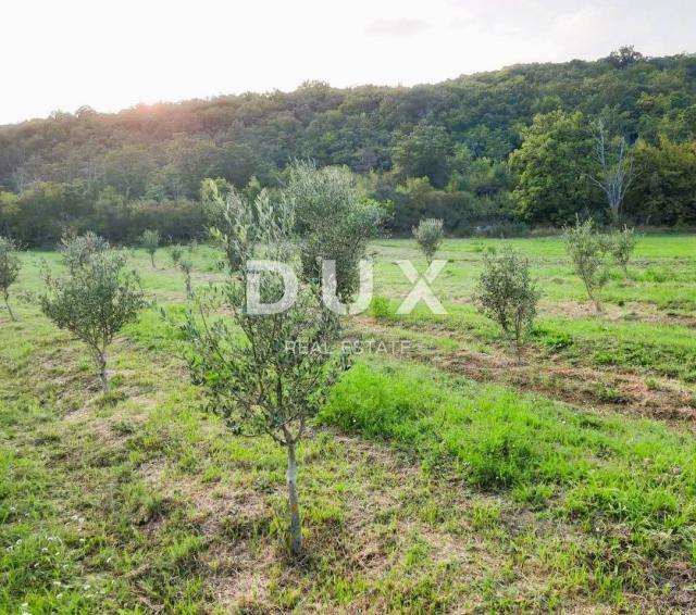 ISTRA, LABIN - Prostrano poljoprivredno zemljište 13 688m2 u blizini mora