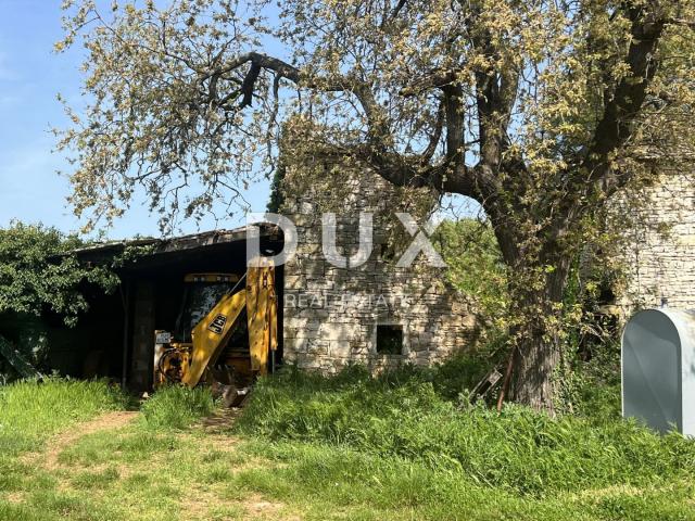 ISTRA, BARBAN - Imanje s potencijalom