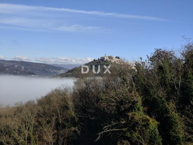 ISTRA, MOTOVUN - Autentična istarska priča gdje ste vi pisac