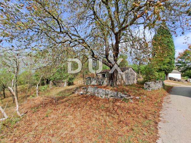 ISTRA, GROŽNJAN, OKOLICA - starina za adaptaciju sa zemljištem od 60.000 m²