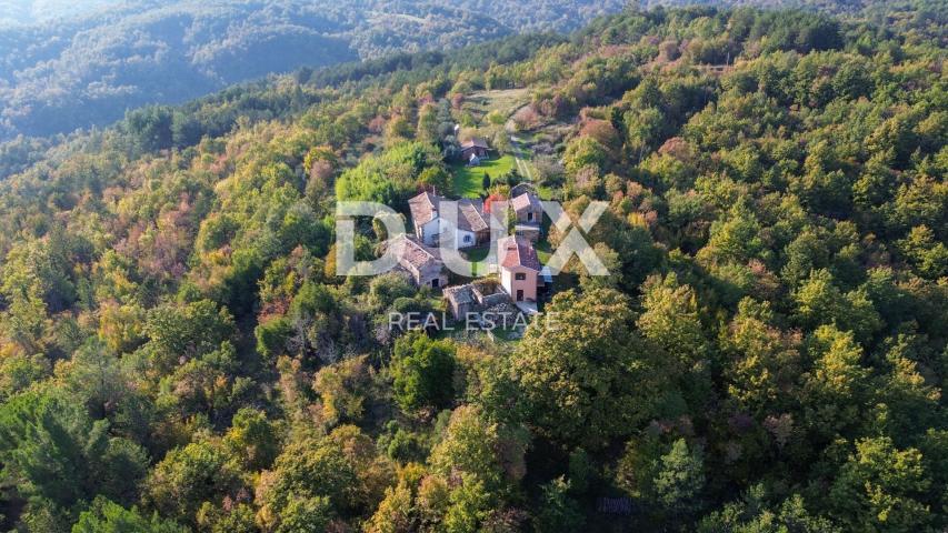 ISTRA, LUPOGLAV, OKOLICA – seosko imanje u Istri s 8 kuća na osami - zemljište od 22.000 m²