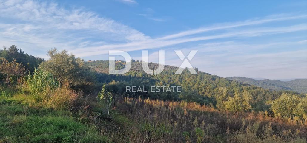 ISTRA, MOTOVUN - Veliko imanje od 170.000 m2, najljepši pogled u Istri - jezero Butoniga, Učka, Ćića