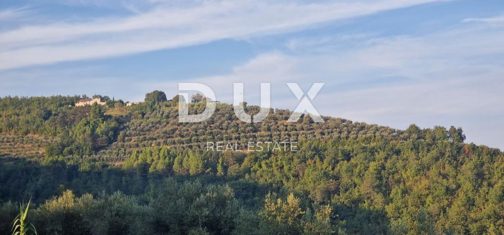 ISTRA, MOTOVUN - Veliko imanje od 170.000 m2, najljepši pogled u Istri - jezero Butoniga, Učka, Ćića