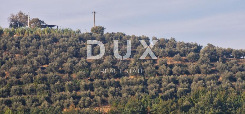 ISTRA, MOTOVUN - Veliko imanje od 170.000 m2, najljepši pogled u Istri - jezero Butoniga, Učka, Ćića