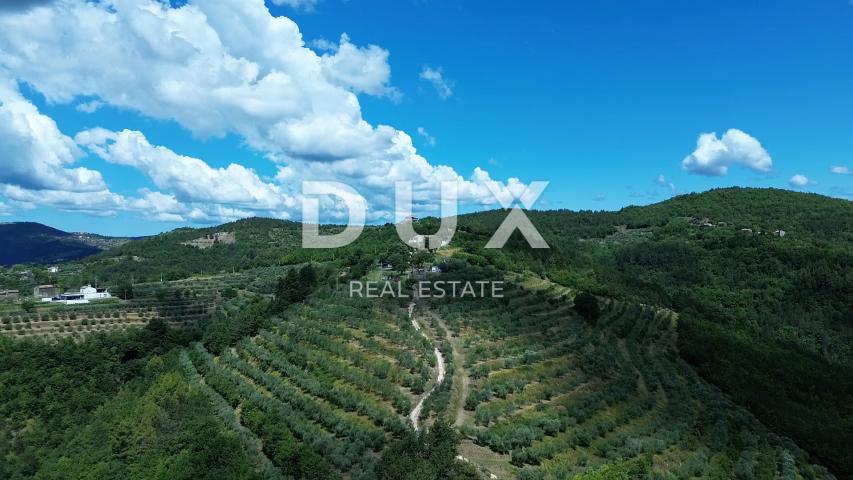ISTRA, MOTOVUN - Veliko imanje od 170.000 m2, najljepši pogled u Istri - jezero Butoniga, Učka, Ćića