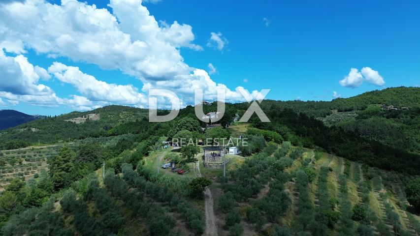 ISTRA, MOTOVUN - Veliko imanje od 170.000 m2, najljepši pogled u Istri - jezero Butoniga, Učka, Ćića