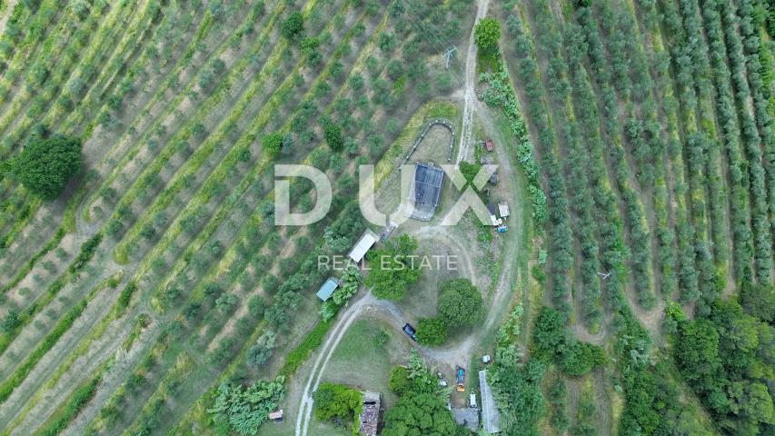 ISTRA, MOTOVUN - Veliko imanje od 170.000 m2, najljepši pogled u Istri - jezero Butoniga, Učka, Ćića