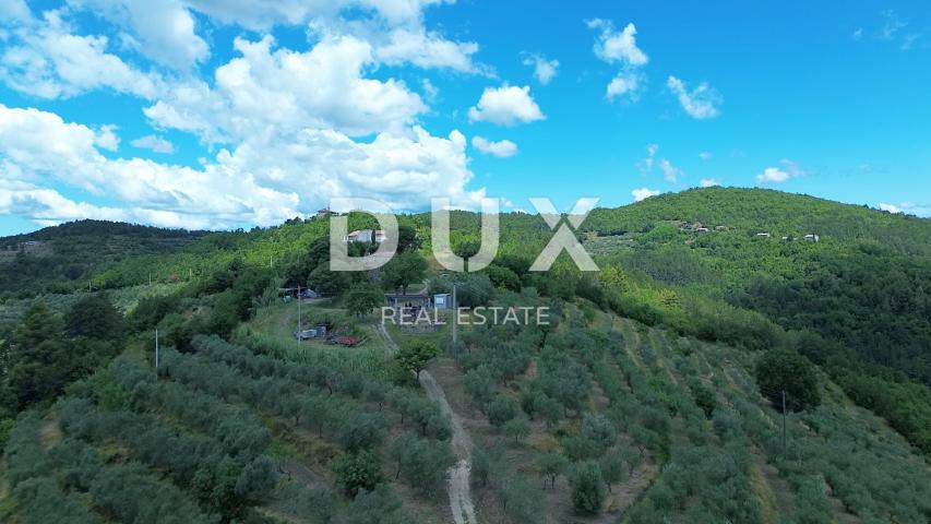 ISTRA, MOTOVUN - Veliko imanje od 170.000 m2, najljepši pogled u Istri - jezero Butoniga, Učka, Ćića