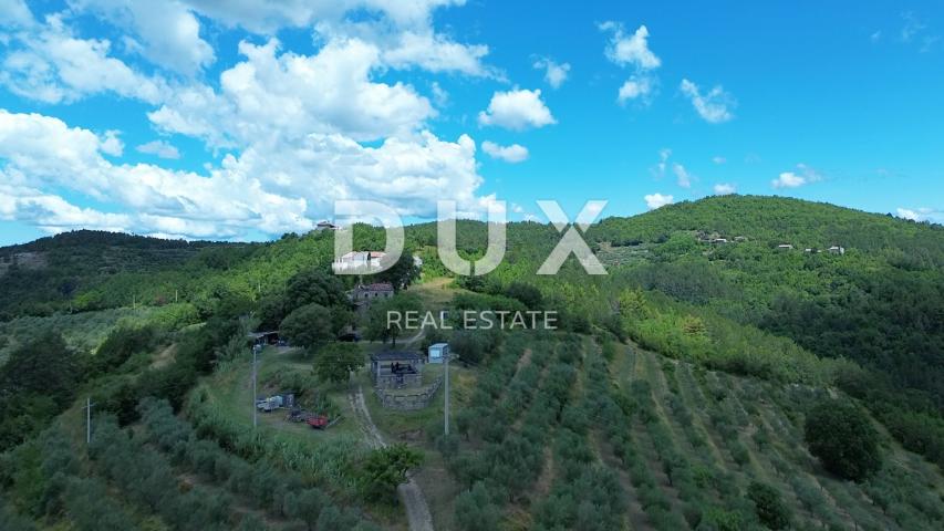 ISTRA, MOTOVUN - Veliko imanje od 170.000 m2, najljepši pogled u Istri - jezero Butoniga, Učka, Ćića