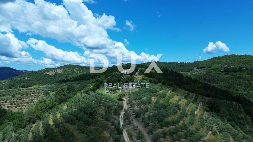 ISTRA, MOTOVUN - Veliko imanje od 170.000 m2, najljepši pogled u Istri - jezero Butoniga, Učka, Ćića