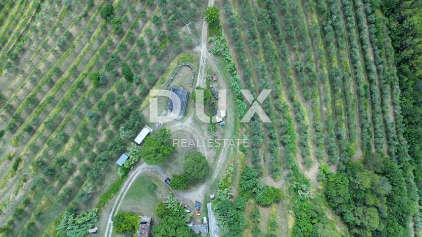 ISTRA, MOTOVUN - Veliko imanje od 170.000 m2, najljepši pogled u Istri - jezero Butoniga, Učka, Ćića