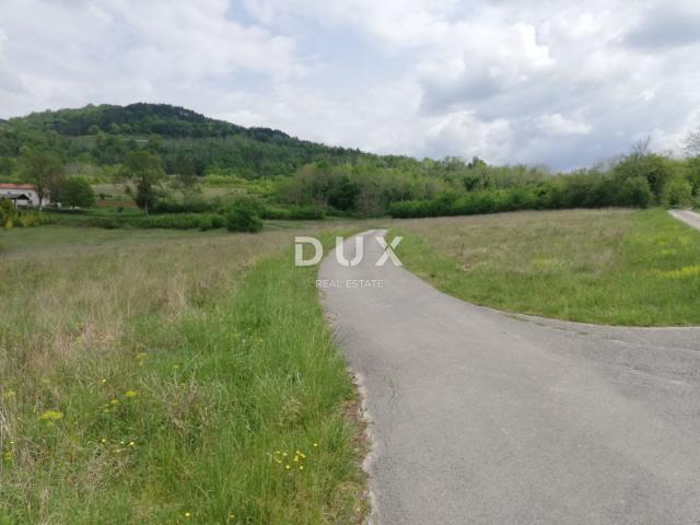 ISTRA, MOTOVUN - Prostrano poljoprivredno zemljište