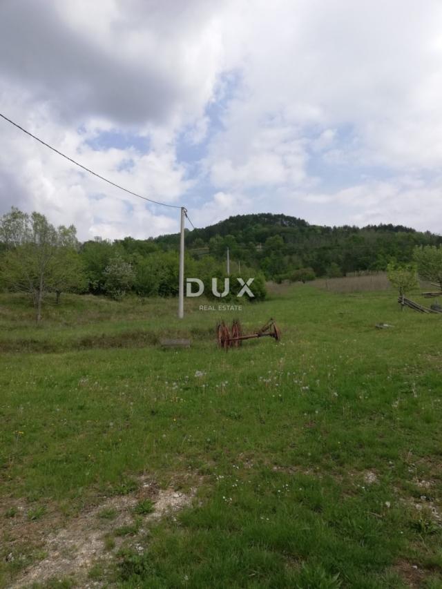 ISTRA, MOTOVUN - Prostrano poljoprivredno zemljište