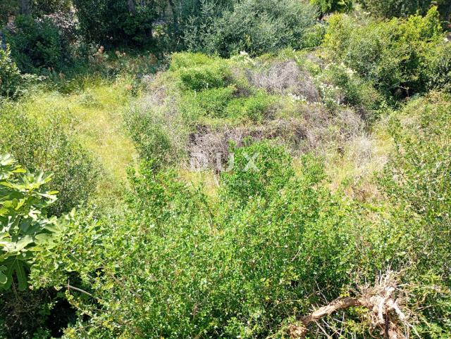 OTOK PAG, LUN - Građevinsko zemljište 622 m2
