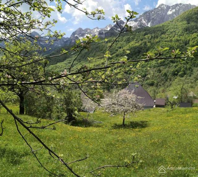 Prodaje se plac Lipovo Kolašin - 70 eura/m2