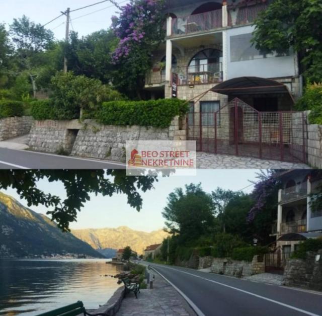 - kotor sf 2653