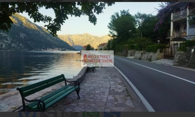 - kotor sf 2653