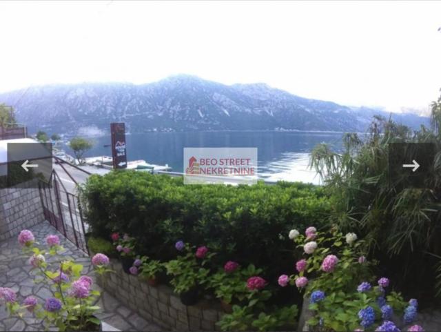 - kotor sf 2653