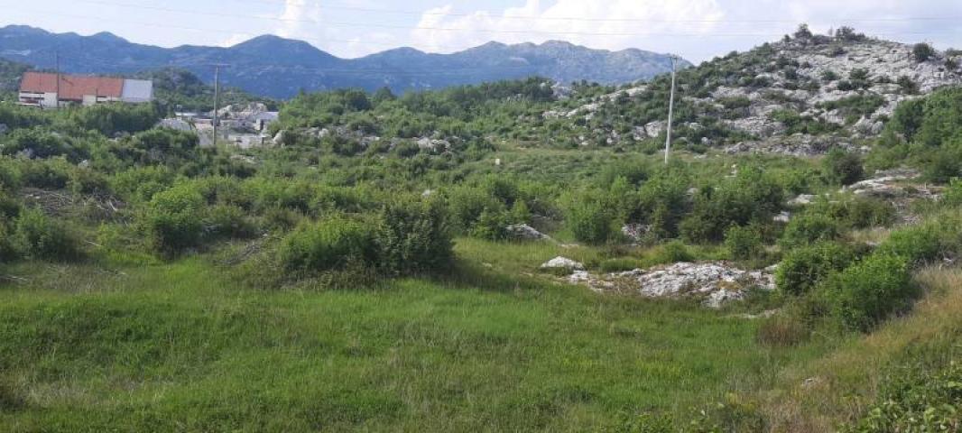 Land for sale in Cetinje 30.000m2