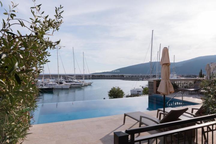 Luxurious apartment in Luštica Bay with pool and sea view