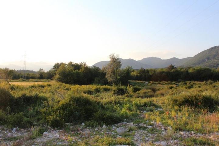 Urbanized plot for sale in Mirkovina, Kotor