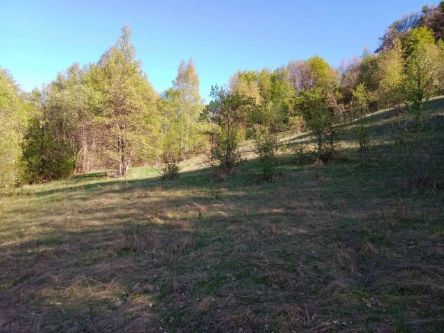 Ideal for Construction or Tourism – 13,700 m² Plot, Šavnik