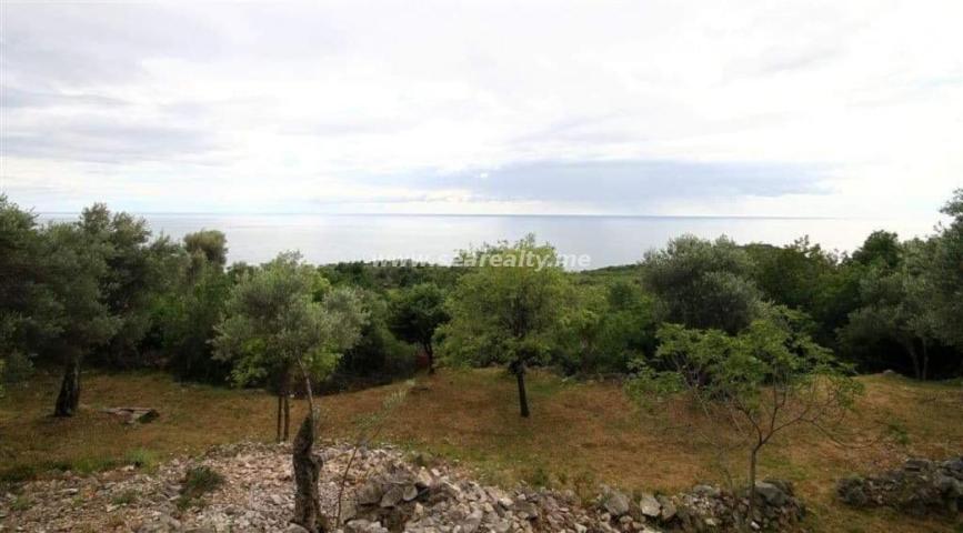 Plot in Reževići