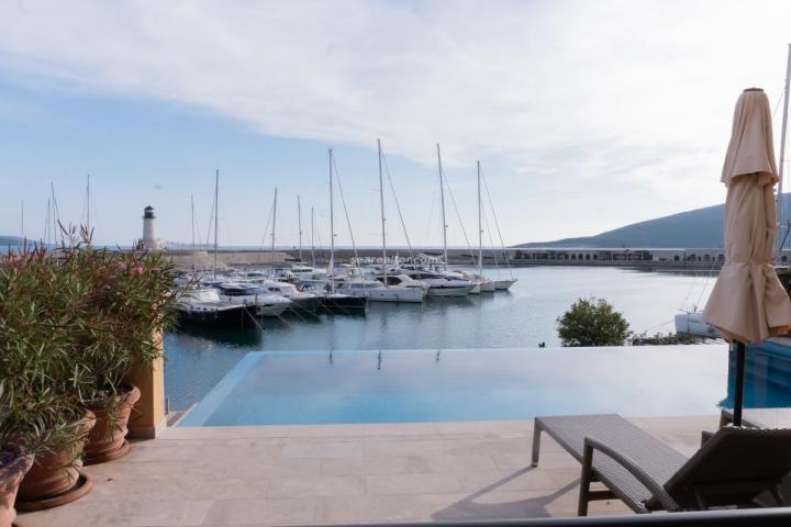 Luxurious apartment in Luštica Bay with pool and sea view
