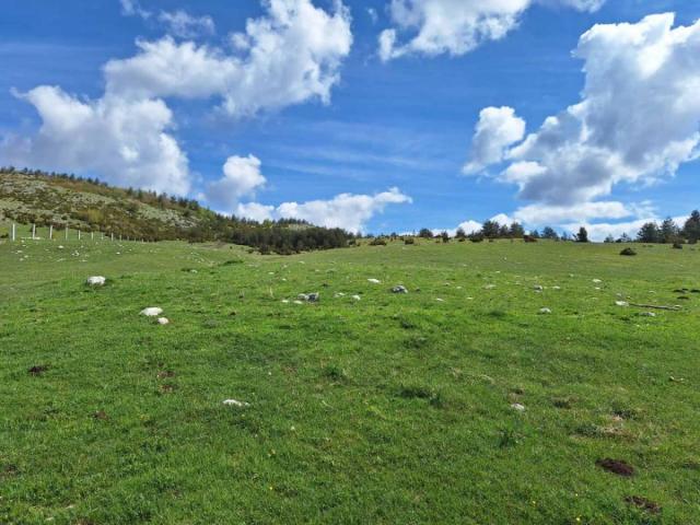 Land for Sale – Žabljak