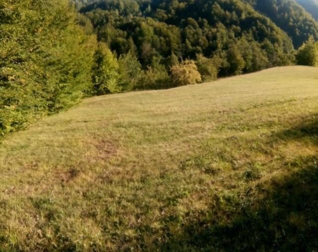 Urbanized land for sale, 12500 m2, Kolašin