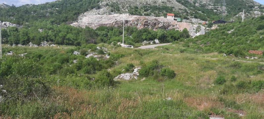 Land for sale in Cetinje 30.000m2