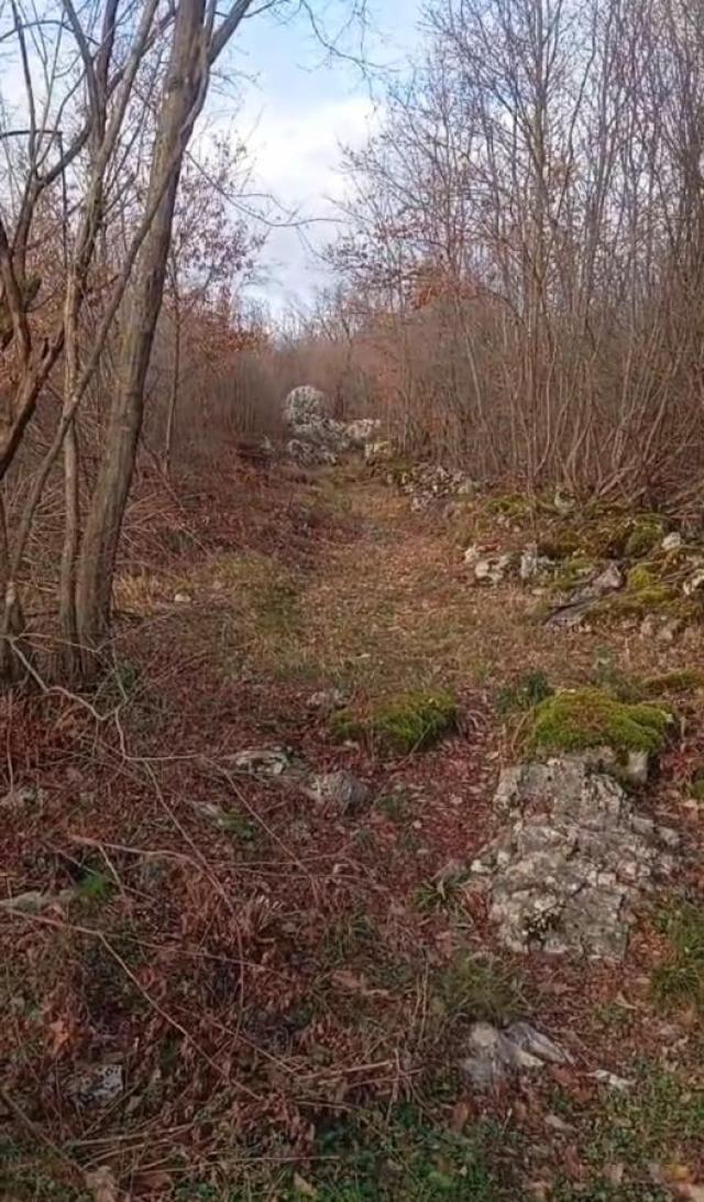 Land for Sale – Bandići, Danilovgrad