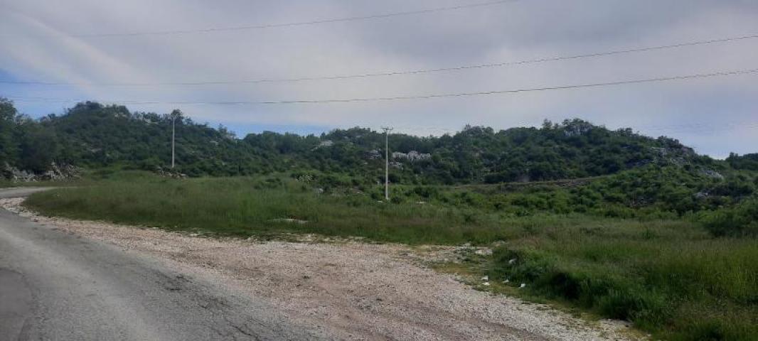 Land for sale in Cetinje 30.000m2