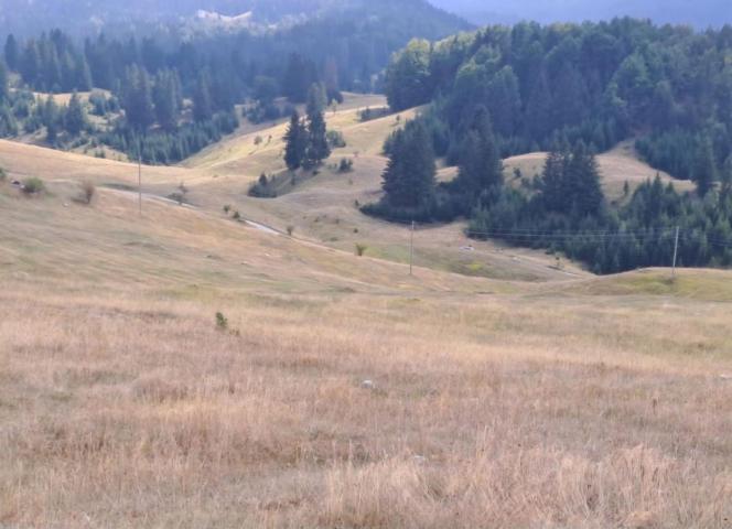 Building Land with a Nature View – Žabljak