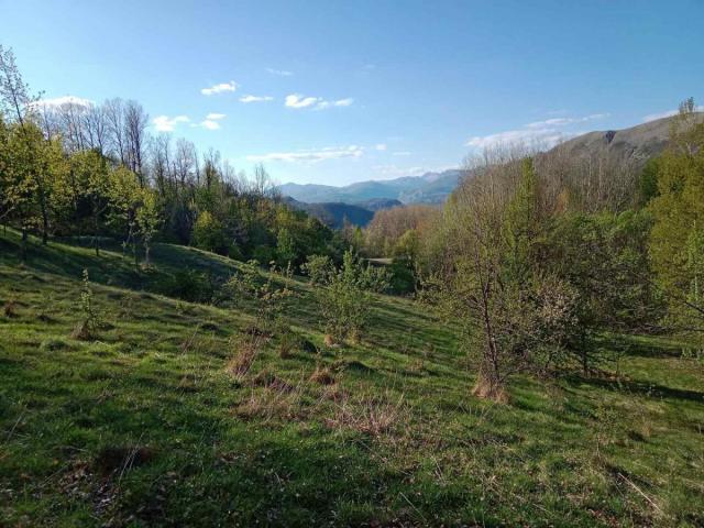 Ideal for Construction or Tourism – 13,700 m² Plot, Šavnik