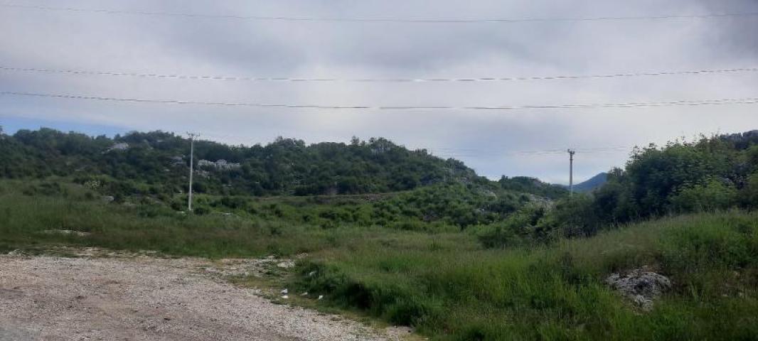 Land for sale in Cetinje 30.000m2