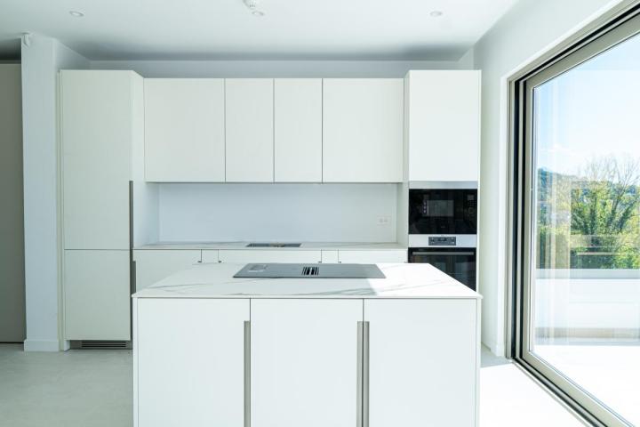 Luxurious House with poul
