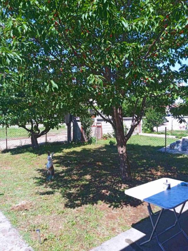 Two-room house in an ideal location, Podgorica