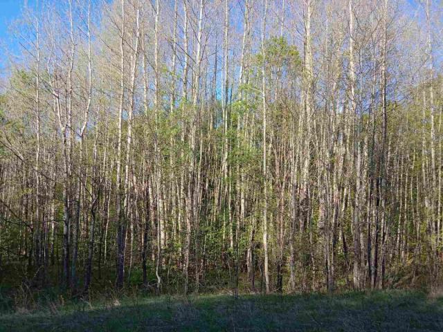 Ideal for Construction or Tourism – 13,700 m² Plot, Šavnik