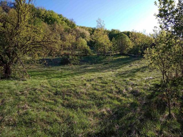 Ideal for Construction or Tourism – 13,700 m² Plot, Šavnik