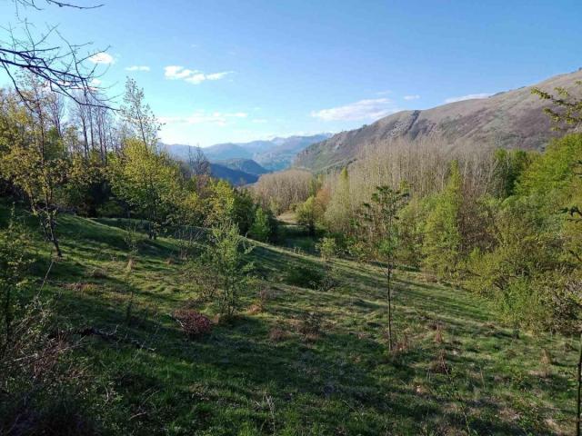 Ideal for Construction or Tourism – 13,700 m² Plot, Šavnik