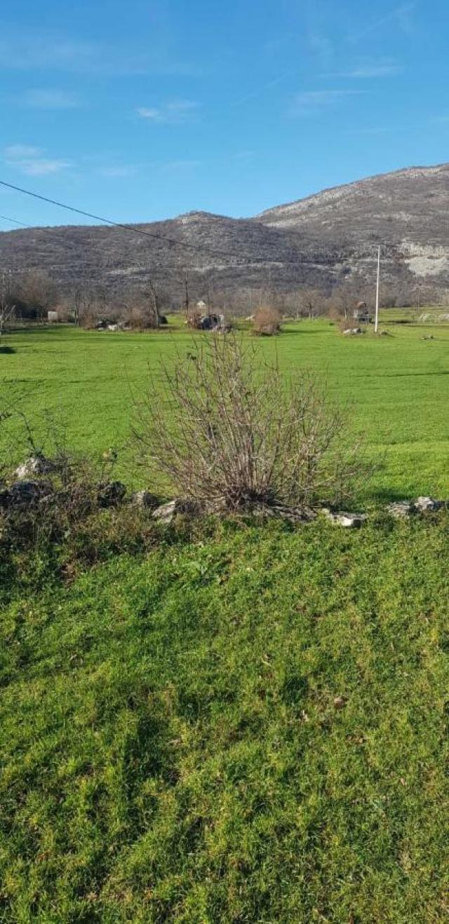 Plot for Sale – Nikšić