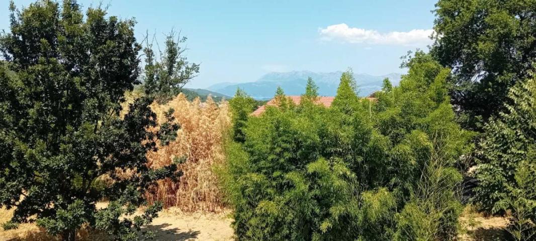 Family house for sale in Radanovići, Kotor