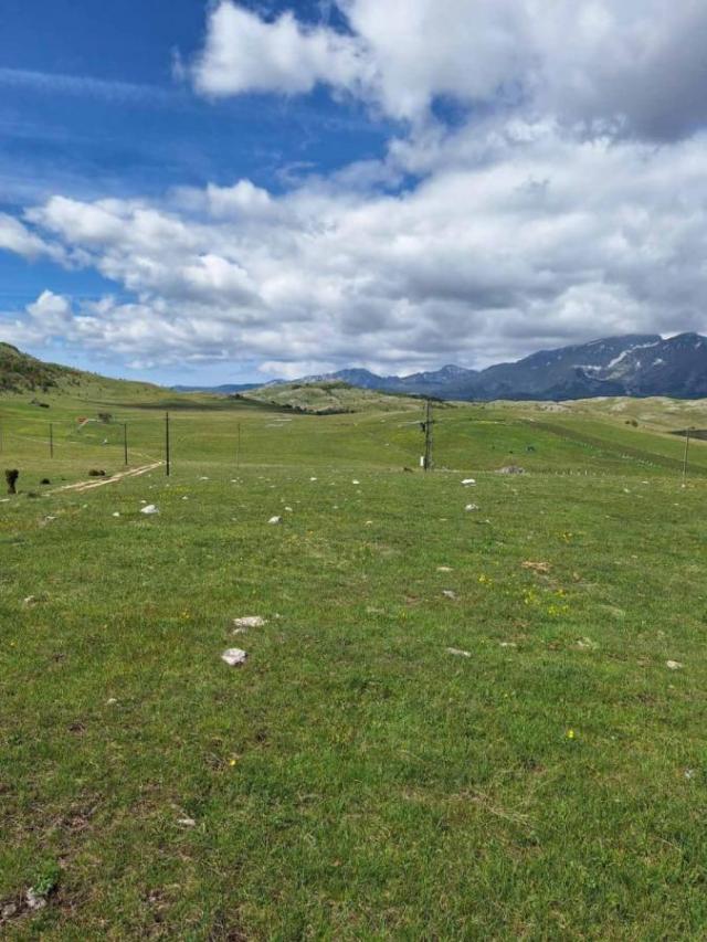 Land for Sale – Žabljak