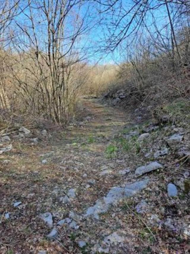 Land for sale, 93700m2 Risan