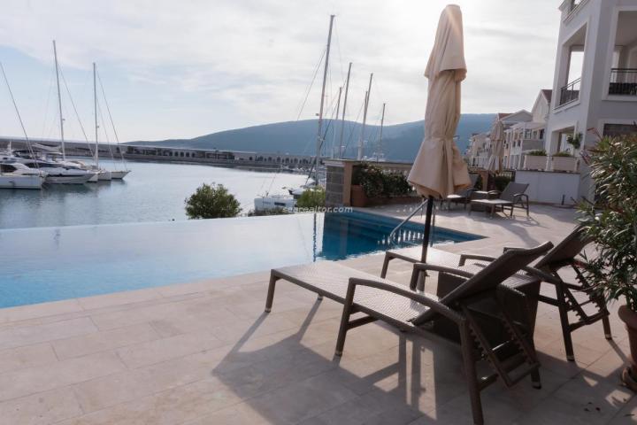 Luxurious apartment in Luštica Bay with pool and sea view