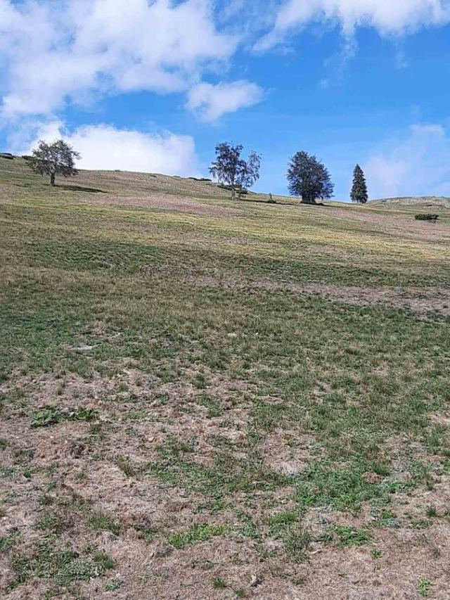 Extraordinary opportunity for investment: Ethno village